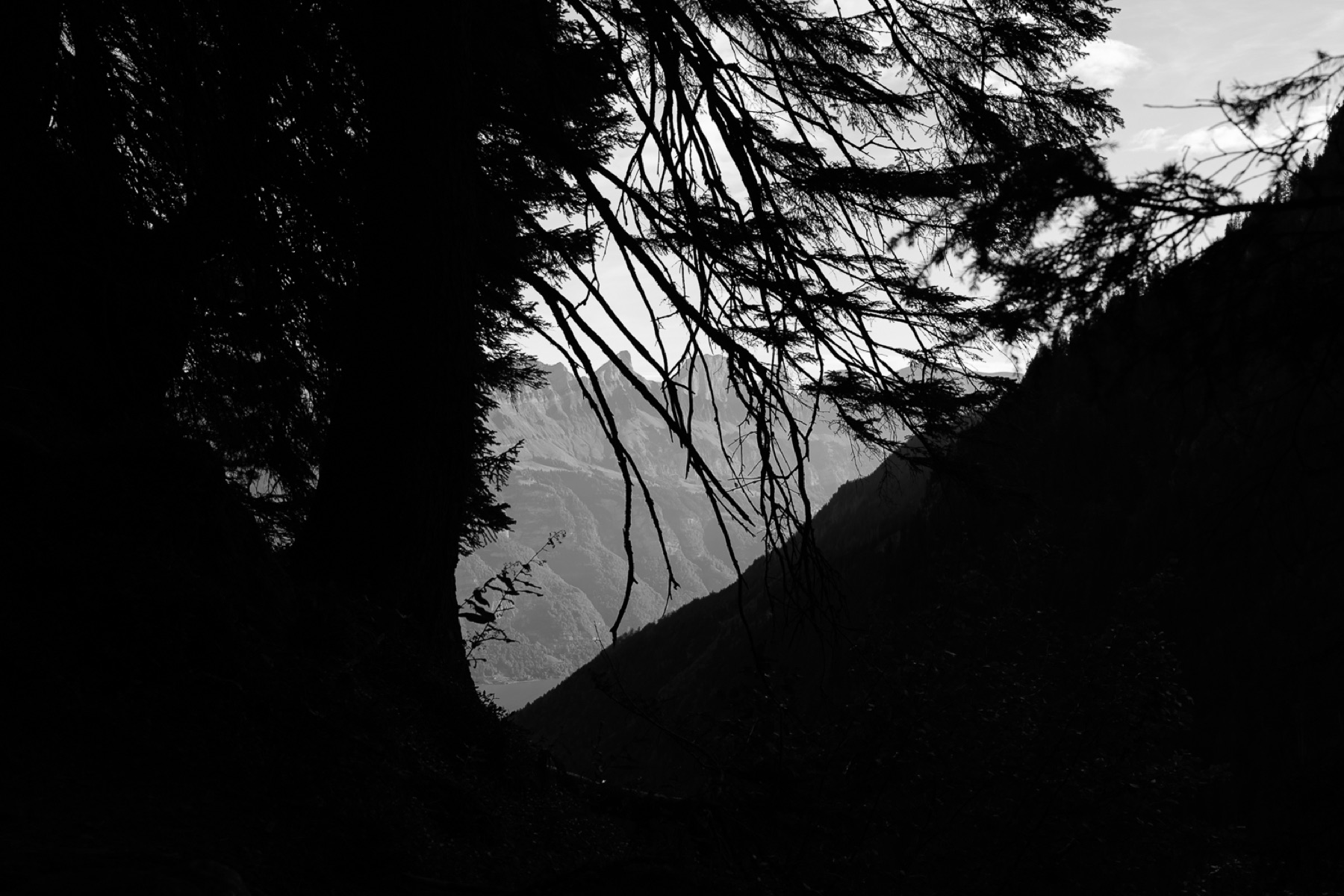 Murgsee 01