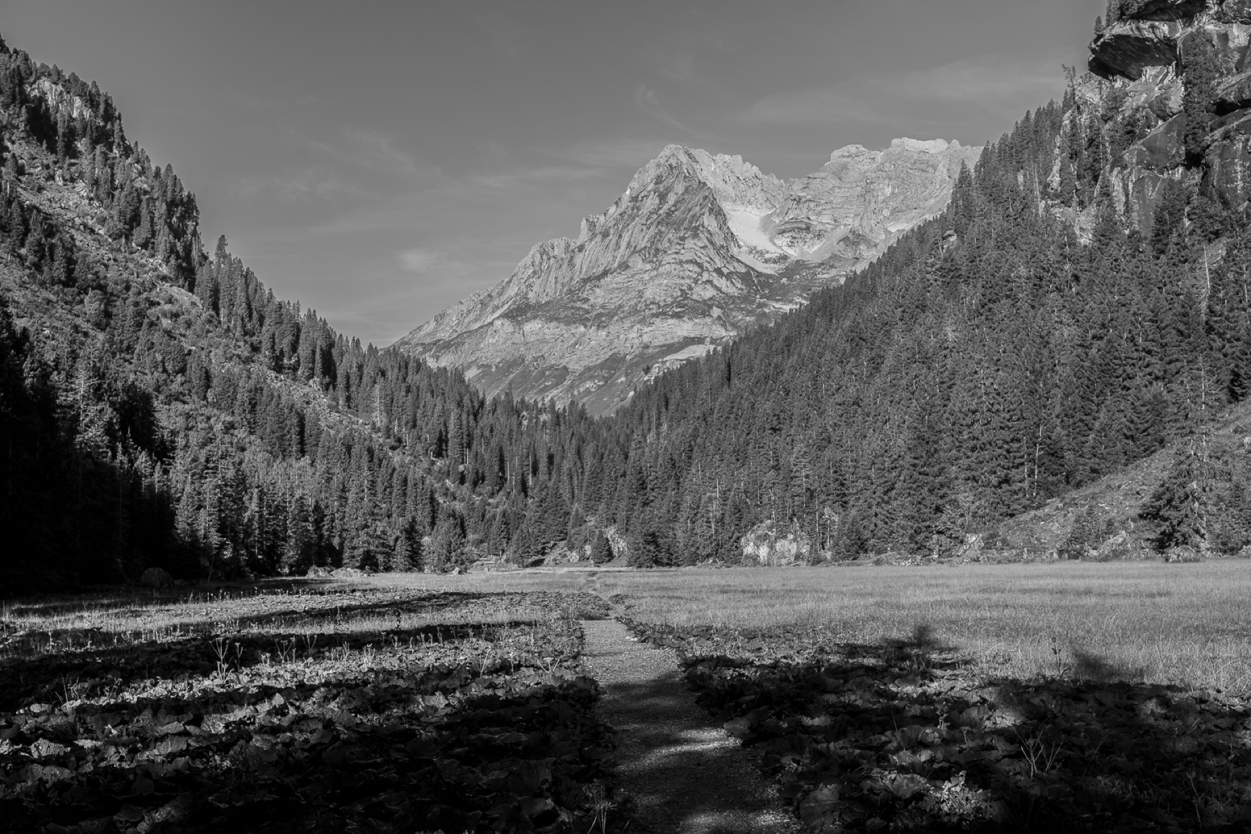 Murgsee 02
