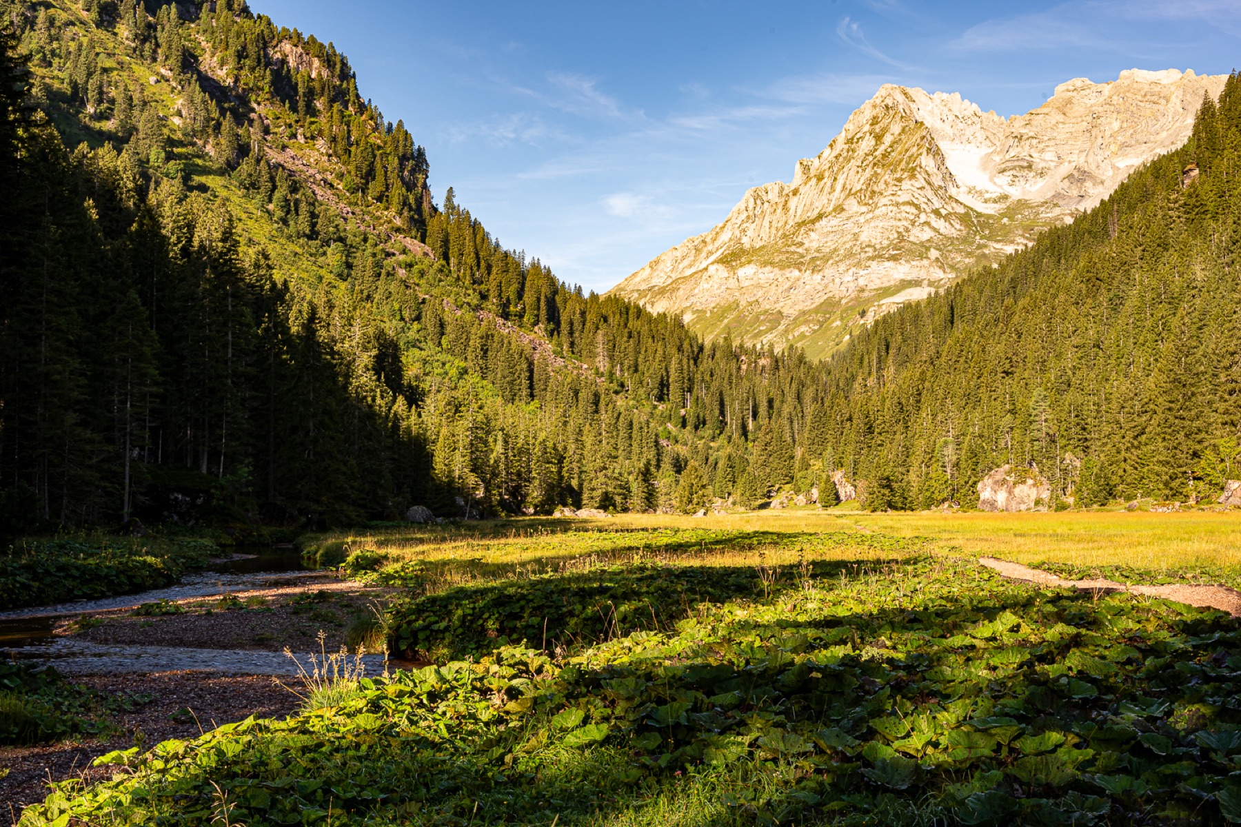 Murgsee 03