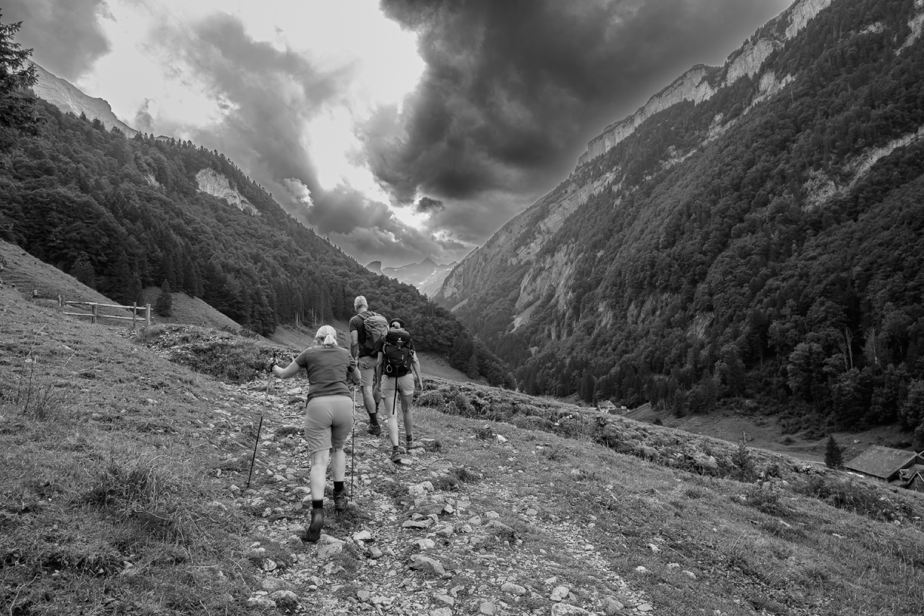 Seealpsee 05