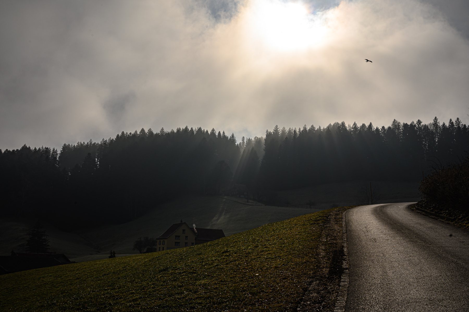 Wanderung mit Bognars 01