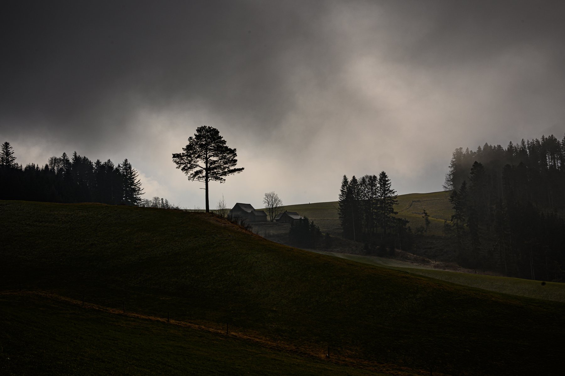 Wanderung mit Bognars 03