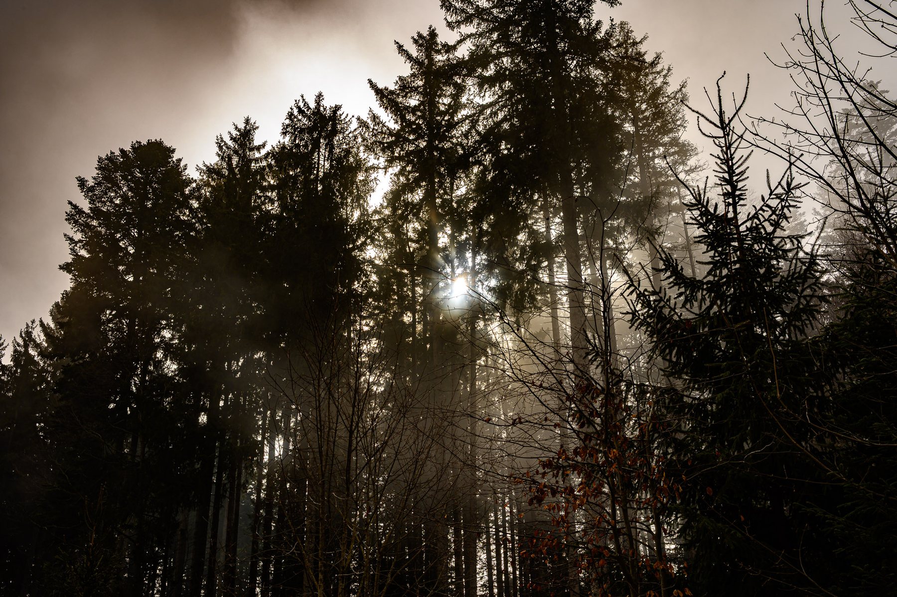 Wanderung mit Bognars 04