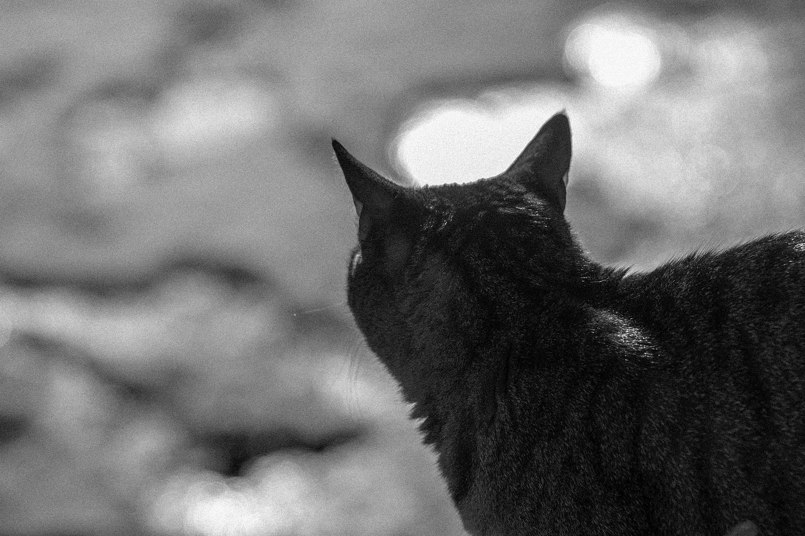 Winterfotografie 17