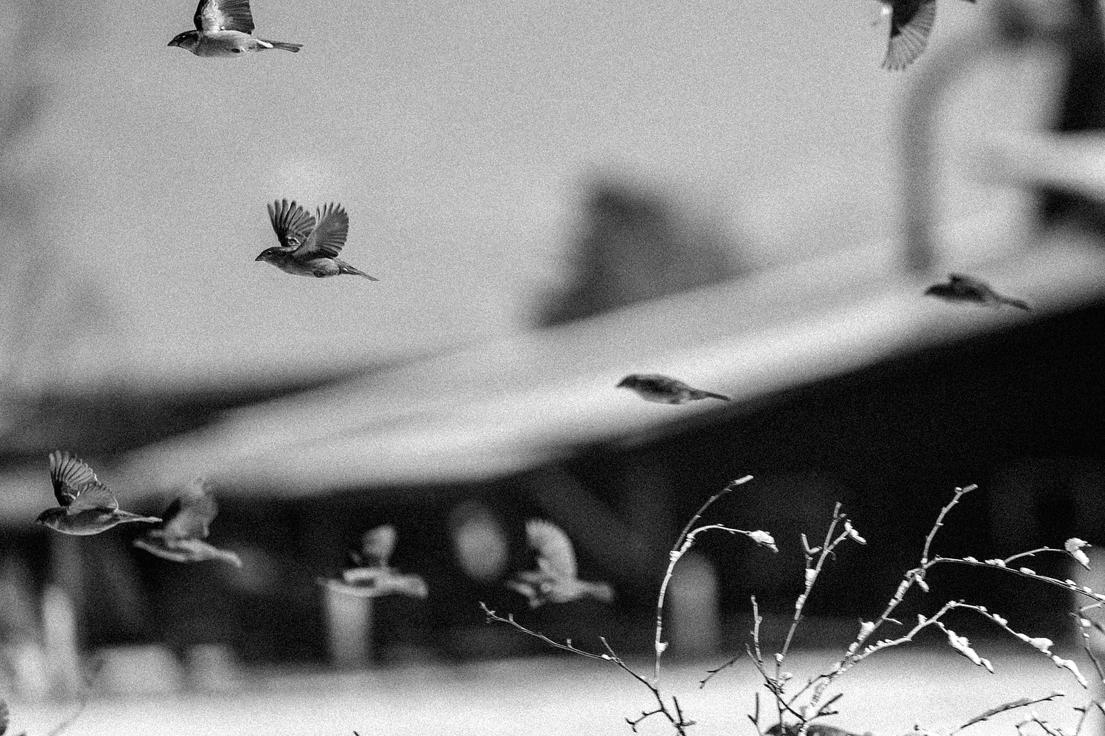 Winterfotografie 14