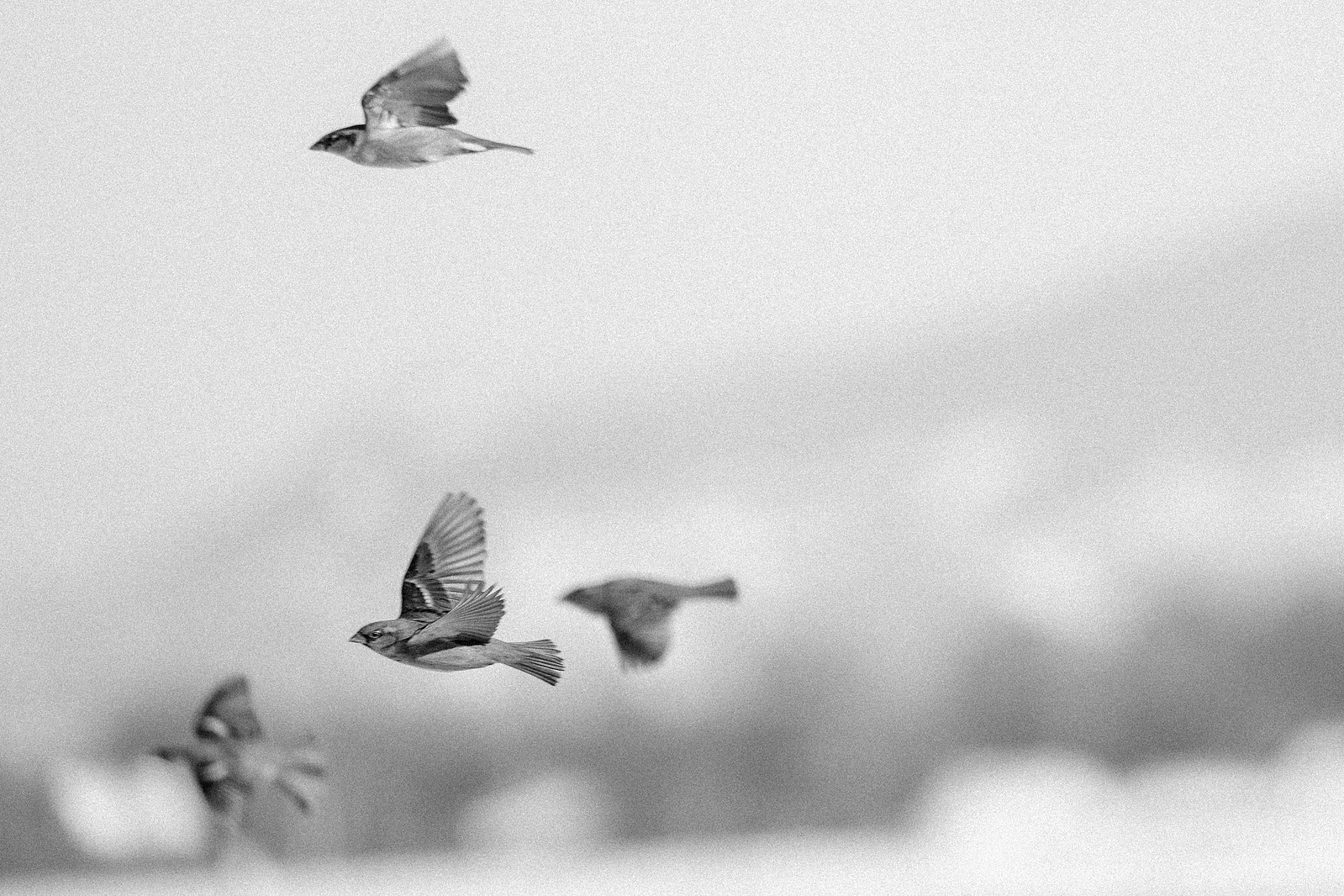 Winterfotografie 13