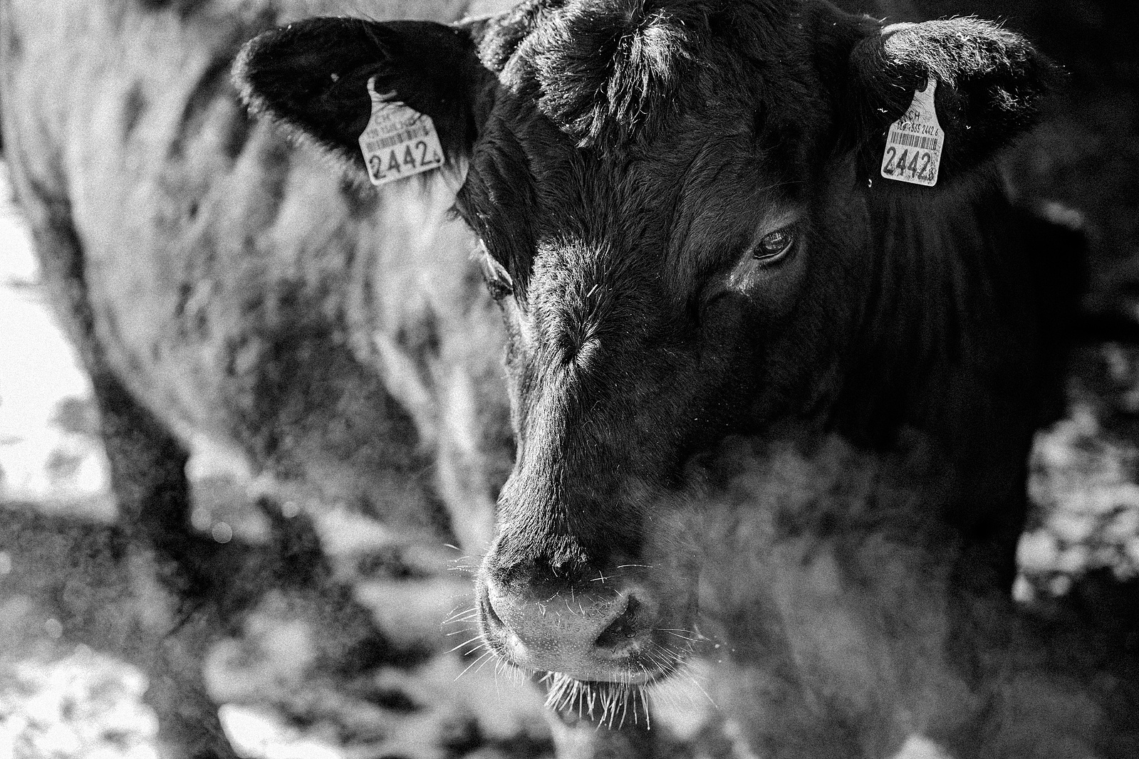 Winterfotografie 12