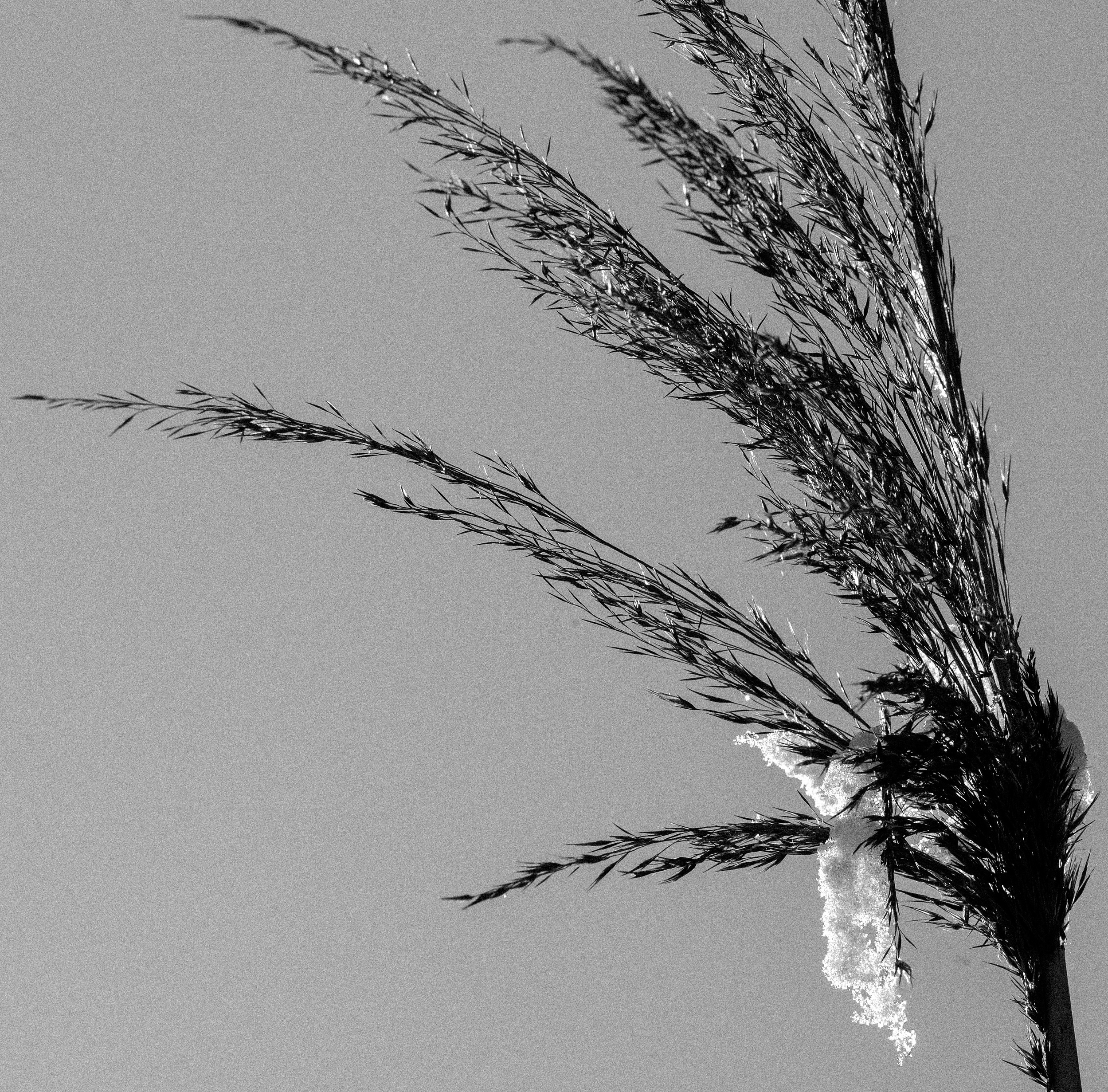 Winterfotografie 06