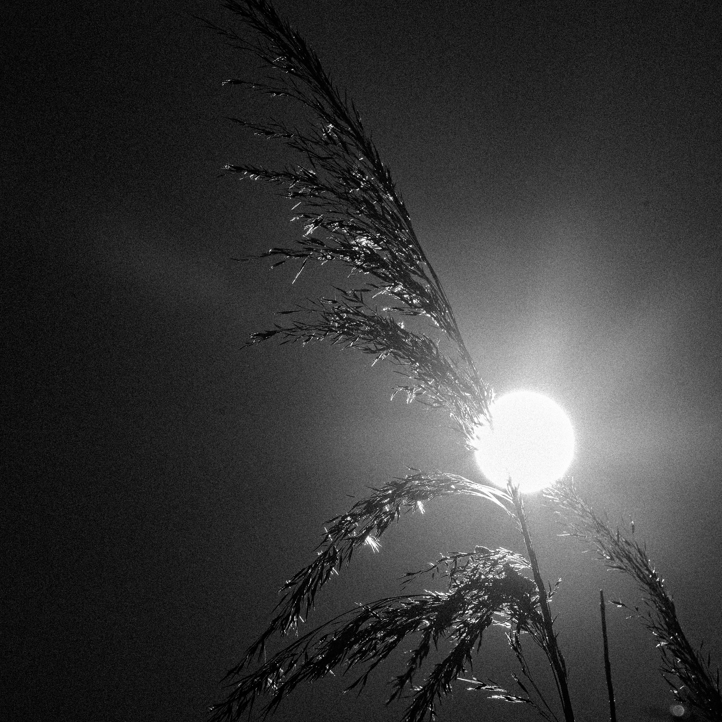 Winterfotografie 05